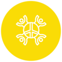 First Nations - Australian Schools Plus